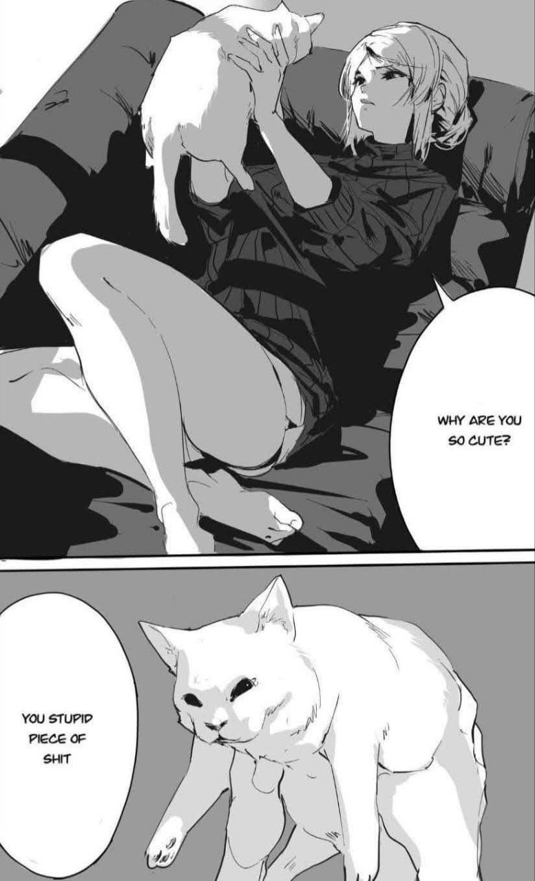 К WHY ARE YOU 50 CUTE? iN YOU STUPIP PIECE OF SHIT