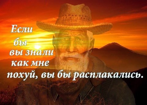 Если вы знали как мне похуй, вы бы расплакались.