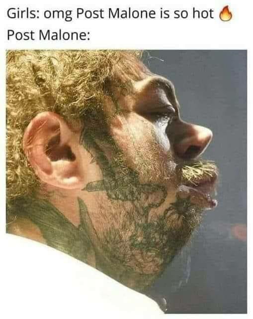 Girls: omg Post Malone is so hot Post Malone: A\ у
