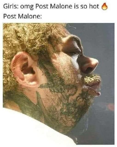 Girls: omg Post Malone is so hot Post Malone: A\ у