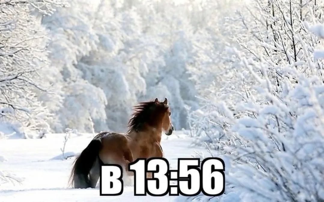 А 4 4 7 и 4 Wer a a