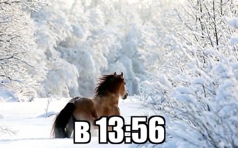 А 4 4 7 и 4 Wer a a