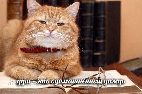 душ это дождь
