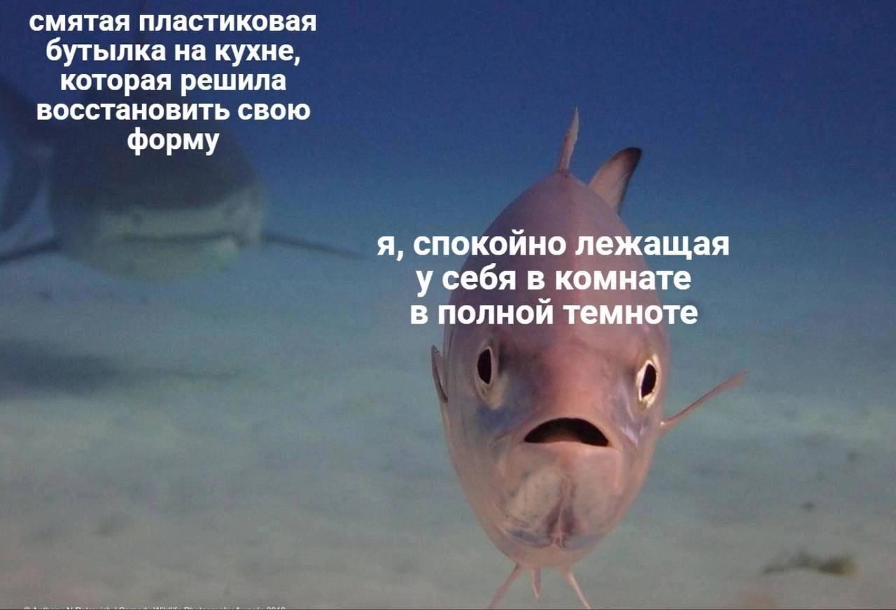 смятая пластиковая бутылка на кухне, которая решила восстановить свою форму Я, спокойно лежащая у себя в комнате в полной темноте