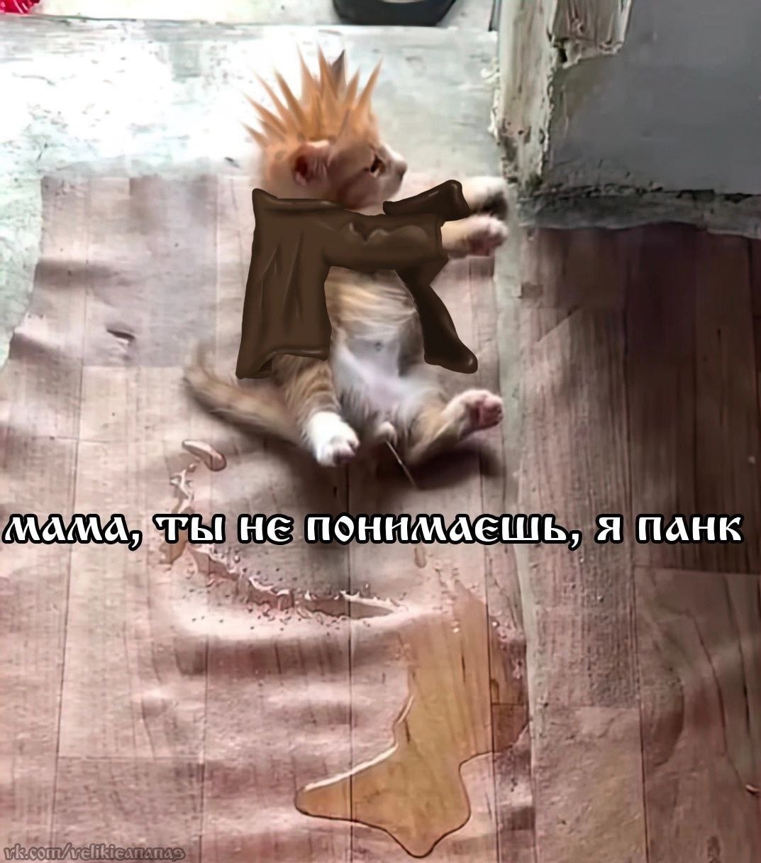 HE ПОНИМАЕШЬ, Я ПАНК