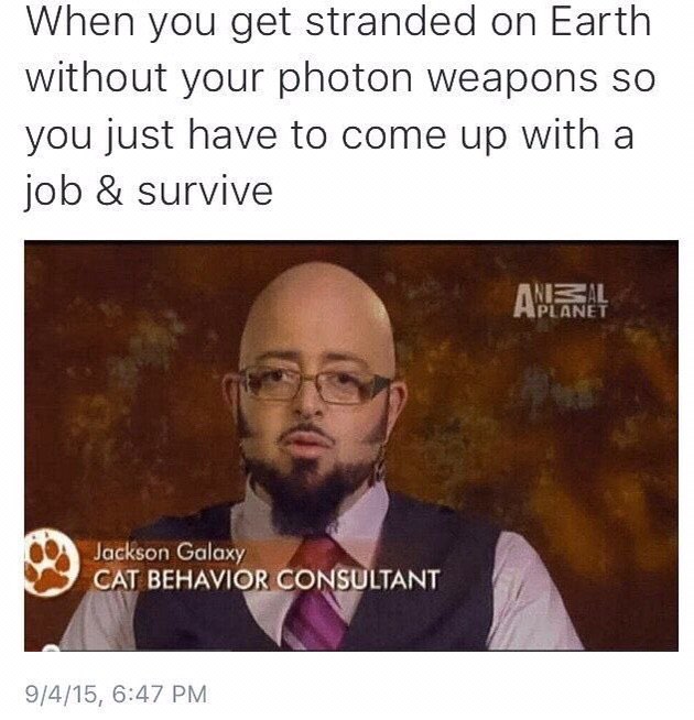 When you get stranded on Earth without your photon weapons so you just have to come up with a Job survive Jackson Galaxy BEHAVIOR GONSULTANT 9/4/15, 6:47
