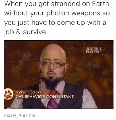 When you get stranded on Earth without your photon weapons so you just have to come up with a Job survive Jackson Galaxy BEHAVIOR GONSULTANT 9/4/15, 6:47