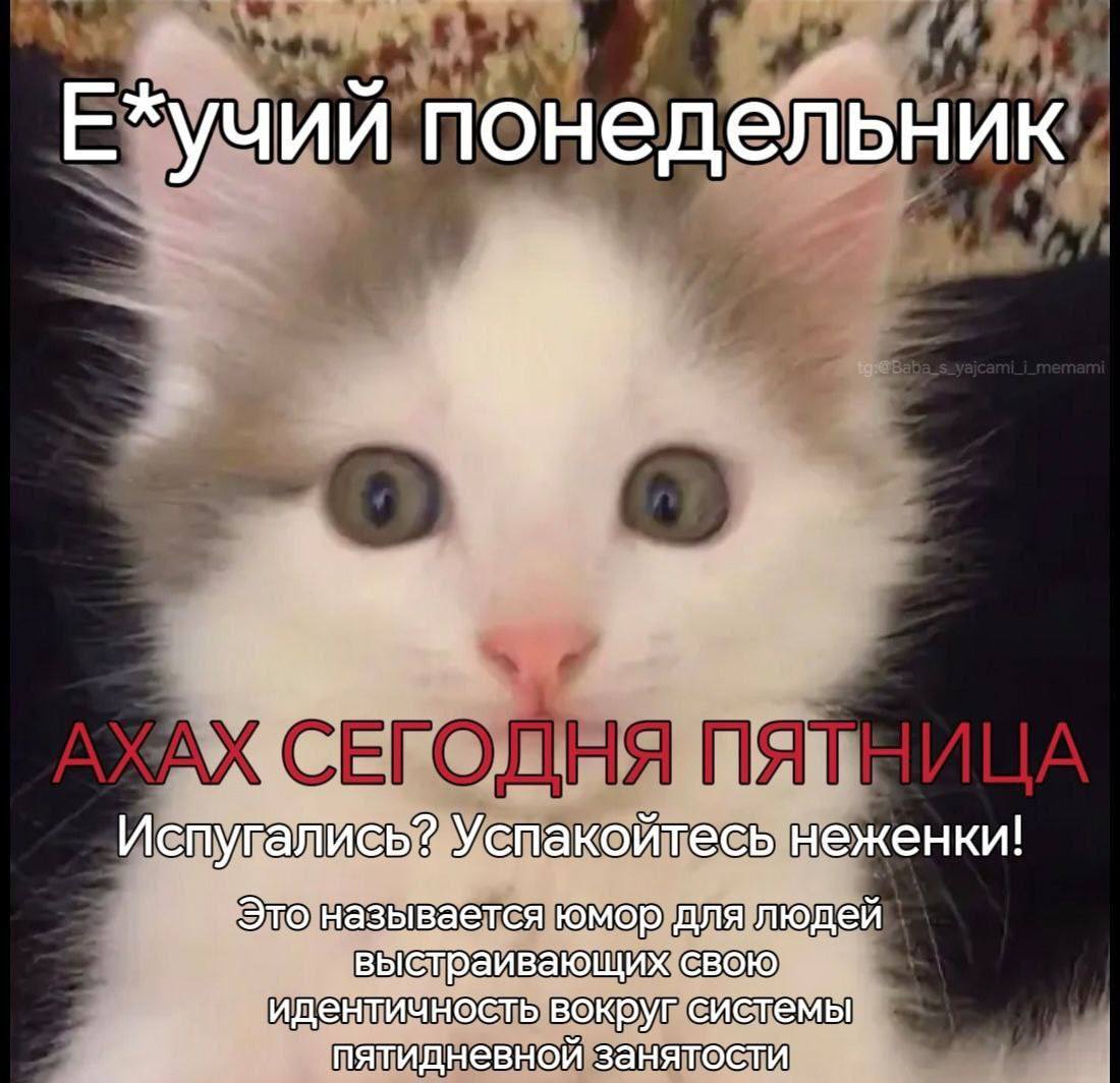 Е*учий понедельник Испугались? Успакойтесь неженки! Это называется юмор длялюдей выстраивающих свою идентичность вокруг систёмы пятидневной занятости