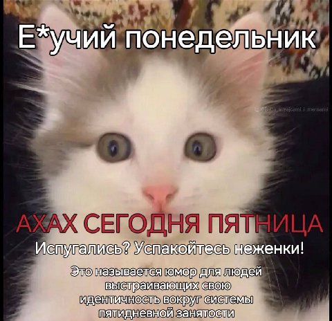 Е*учий понедельник Испугались? Успакойтесь неженки! Это называется юмор длялюдей выстраивающих свою идентичность вокруг систёмы пятидневной занятости