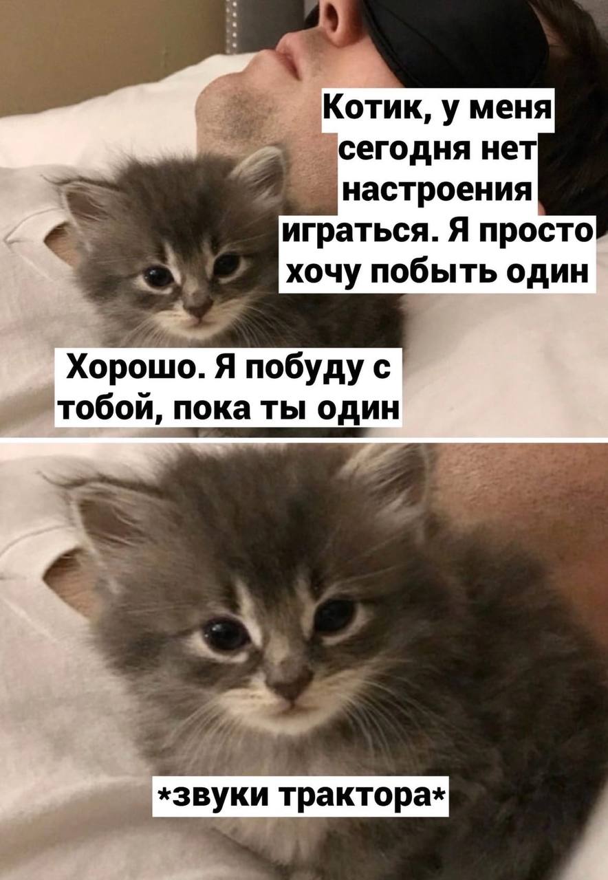 Котик, у меня сегодня нет настроения играться. Я просто хочу побыть один Хорошо. Я побуду с тобой, пока ты один