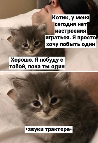 Котик, у меня сегодня нет настроения играться. Я просто хочу побыть один Хорошо. Я побуду с тобой, пока ты один