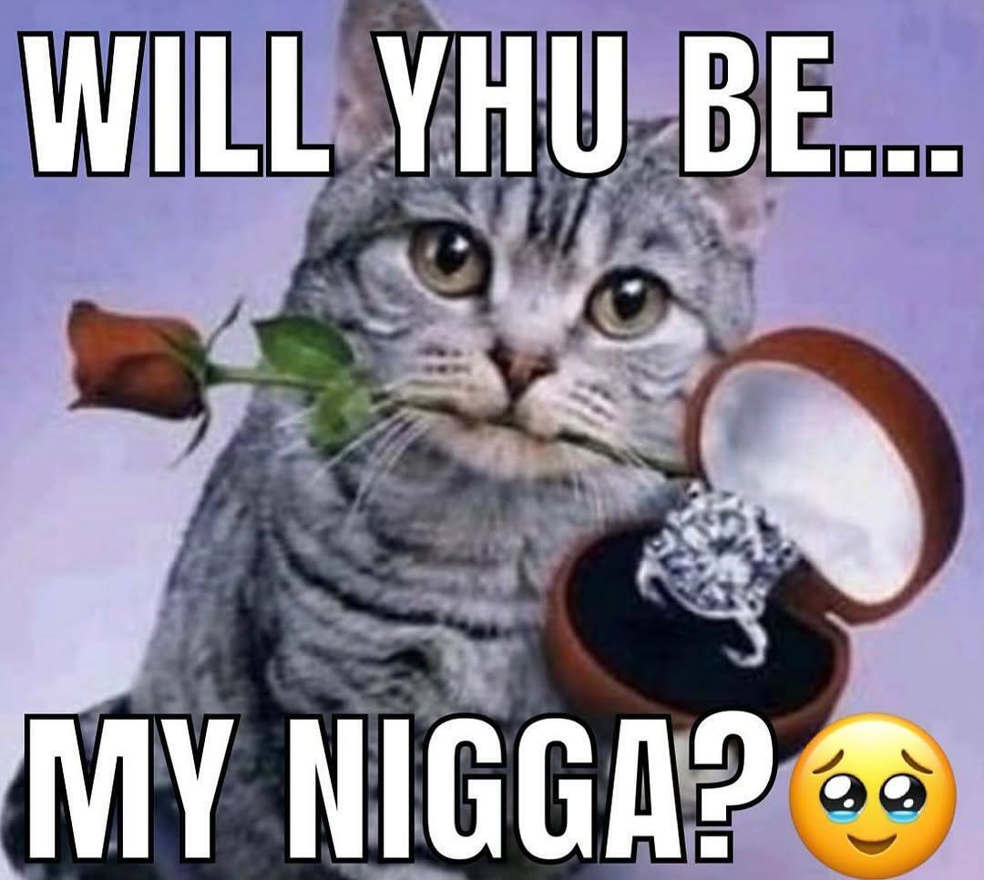 WILL YHU NIGGA?