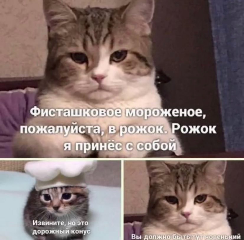 пожалуйста! в рожок. Рожок я принес с собой И звините, но это А дорожный конус Вы дояжно быть