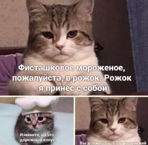 пожалуйста! в рожок. Рожок я принес с собой И звините, но это А дорожный конус Вы дояжно быть