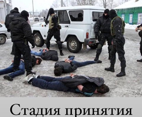 Стадия принятия