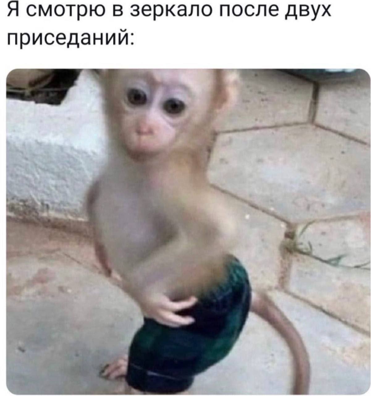 Я смотрю в зеркало после двух приседаний:
