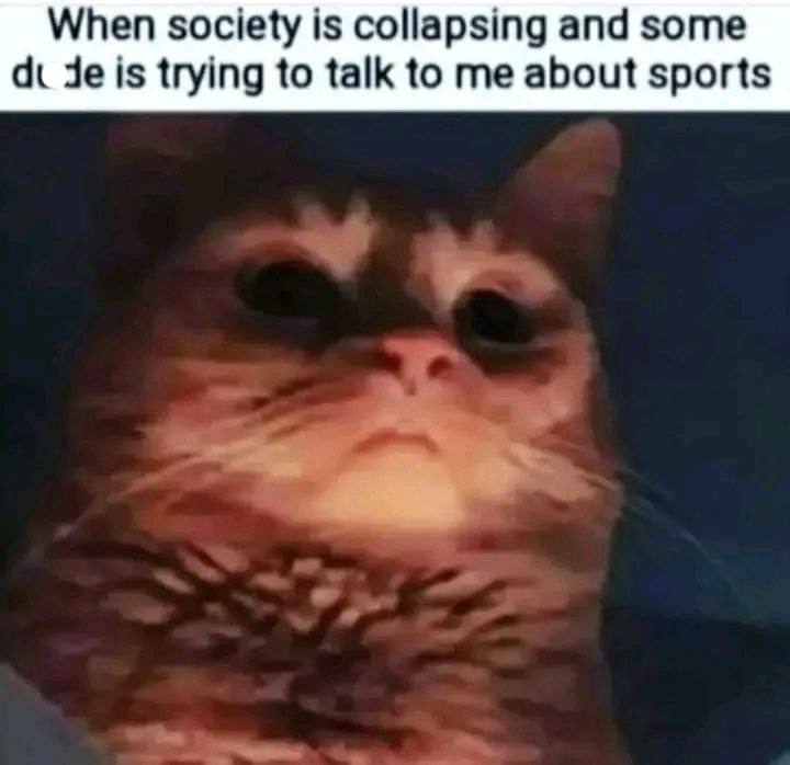 When society is collapsing and some is trying to talk to me about sports