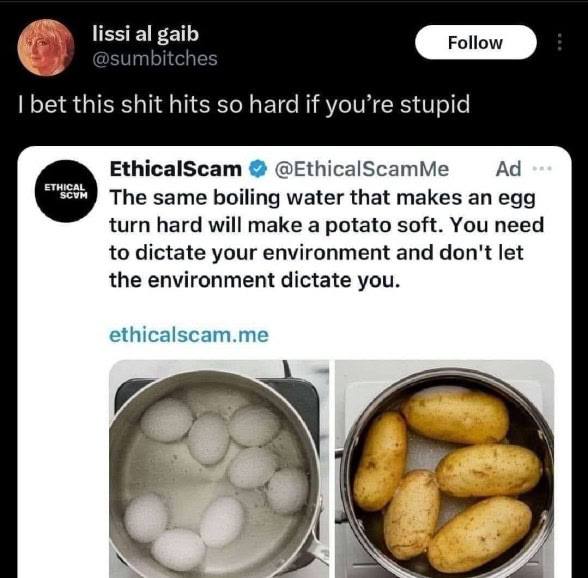 lissi gaib У _4 bet this shit hits so hard if you’re stupid EthicalScam @EthicalScamMe The same boiling water that makes an egg turn hard will make a potato soft. You need to dictate your environment 