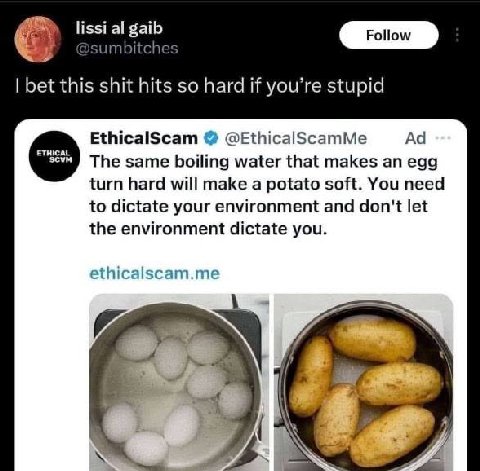 lissi gaib У _4 bet this shit hits so hard if you’re stupid EthicalScam @EthicalScamMe The same boiling water that makes an egg turn hard will make a potato soft. You need to dictate your environment 