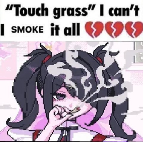 “Touch grass” can’t it
