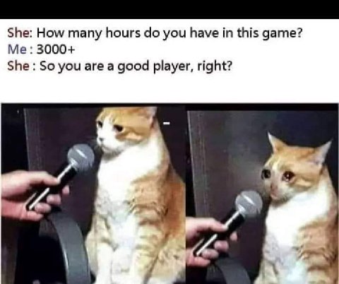 She: How many hours you have this game? 3000+ She So you are a good player, right?