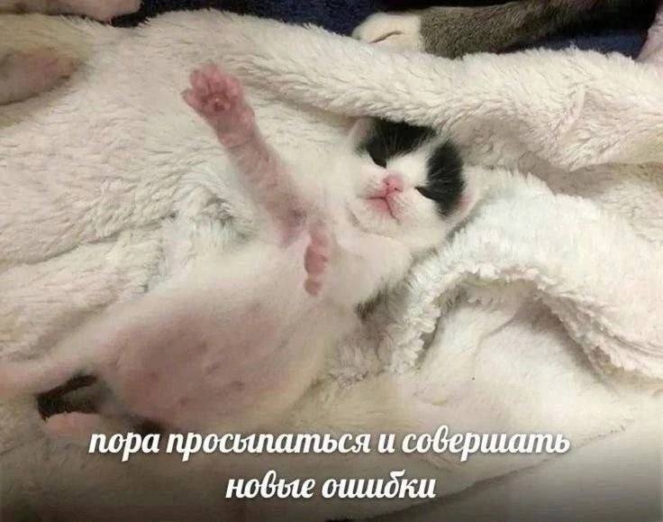4 i пора про совершать новые