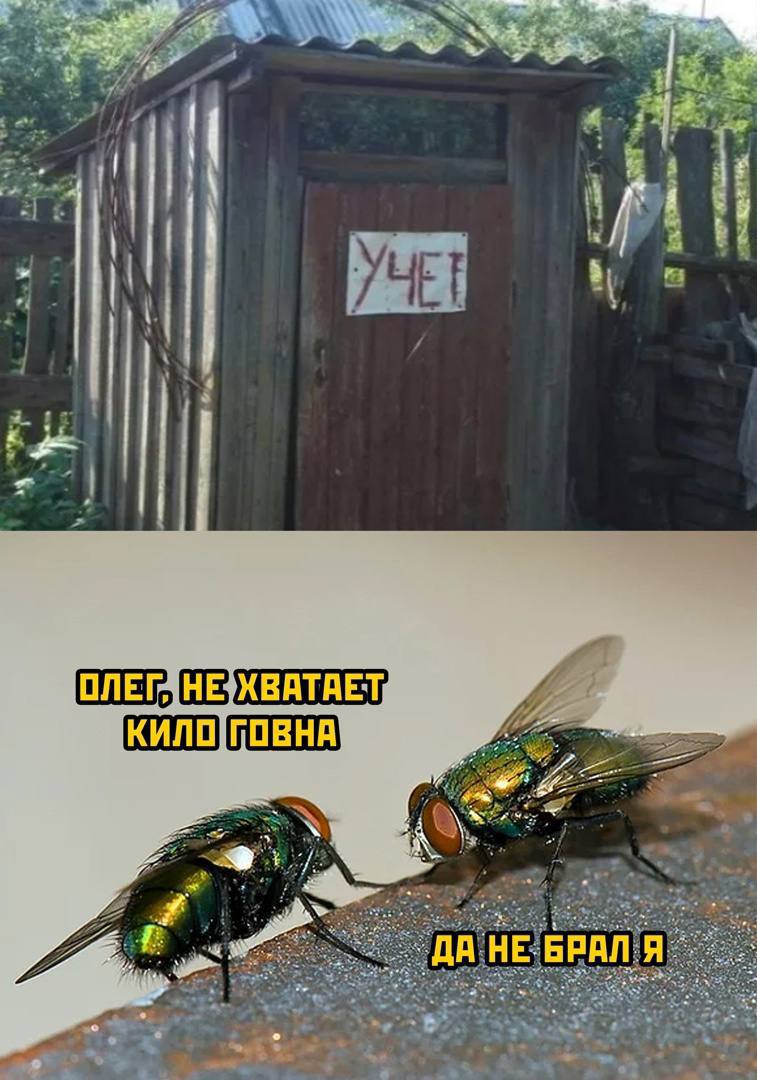 a i ХВАТАЕТ, HE: НА; КИЛО a HE БРАЛ