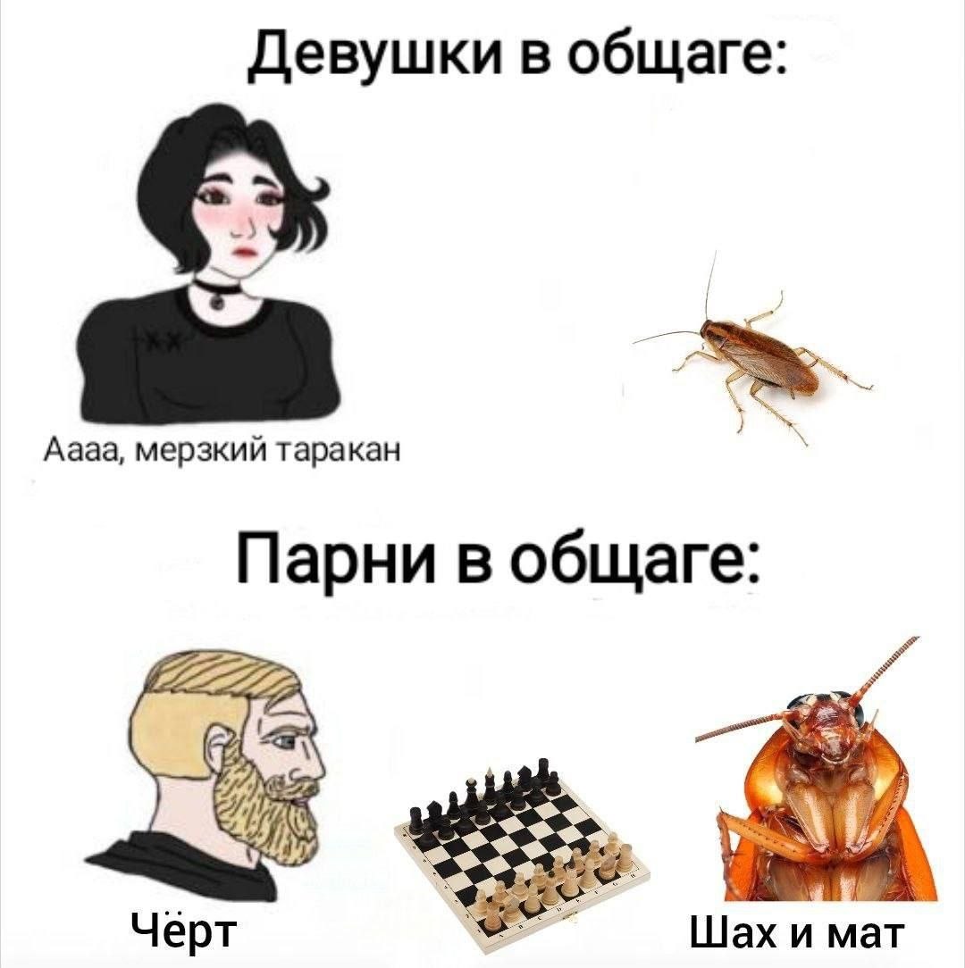 Девушки в общаге: Аааа, мерзкий таракан Парни в общаге: Чёрт Шах и мат