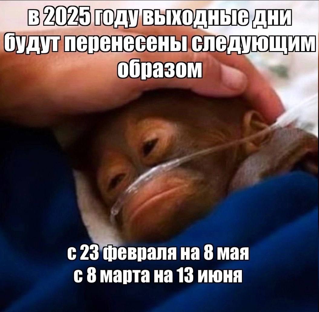 20 2 будут перенесены следующим образом 23 февраля на 8 мая с 8 марта на 13 июня