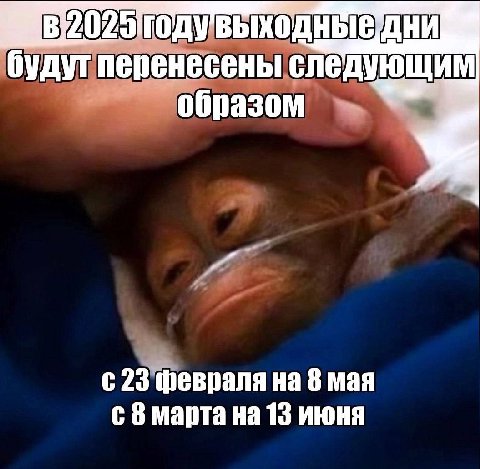 20 2 будут перенесены следующим образом 23 февраля на 8 мая с 8 марта на 13 июня