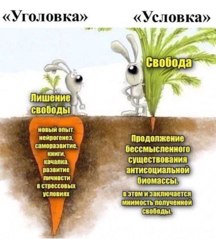 «Уголовка» «Условка» 14 Свобода aes Лишение свободы новый опыт неирогенез Продолжение саморазвитие книги бессмысленного качалка существования развитие антисоциальнои Личности в стрессовых биомассы усл