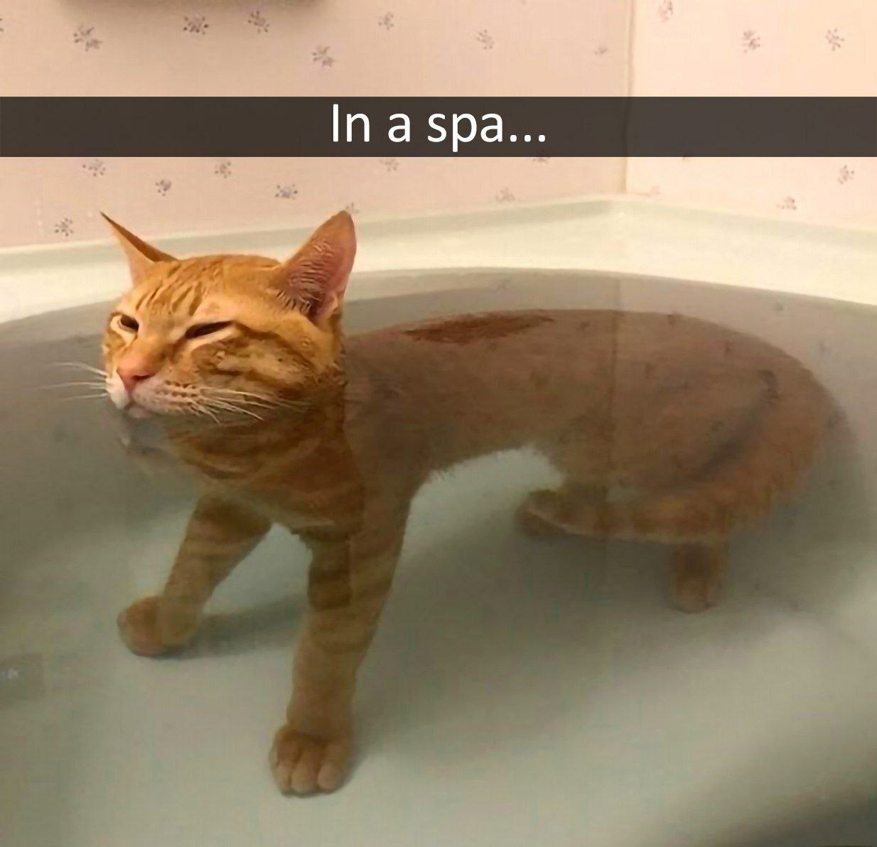 In a spa... 4
