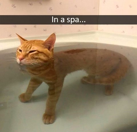 In a spa... 4