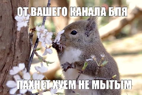 КАНАЛА БЛЯ я НЕ