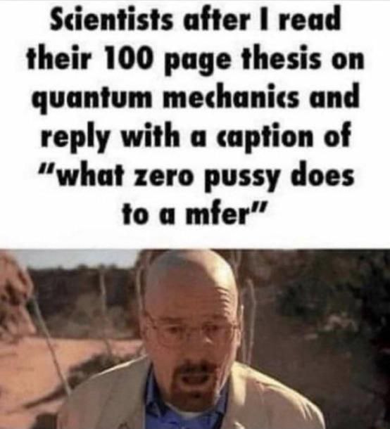 Scientists after read their 100 page thesis on quantum mechanics and reply with a caption of “what zero pussy does to a mfer”