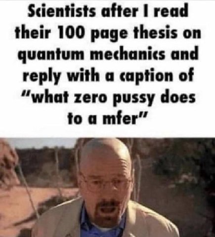 Scientists after read their 100 page thesis on quantum mechanics and reply with a caption of “what zero pussy does to a mfer”
