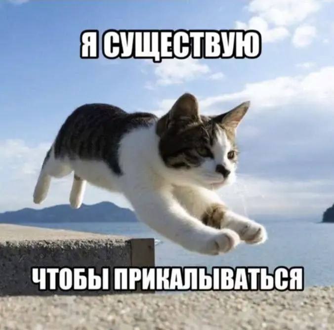 Я СУЩЕСТВУЮ ЧТОБЫ