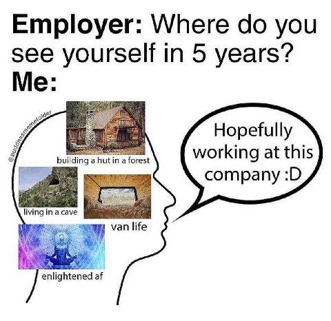 Employer: Where you see yourself in 5 years? Hopefully ahutina forest working at this company living in асауе i van life