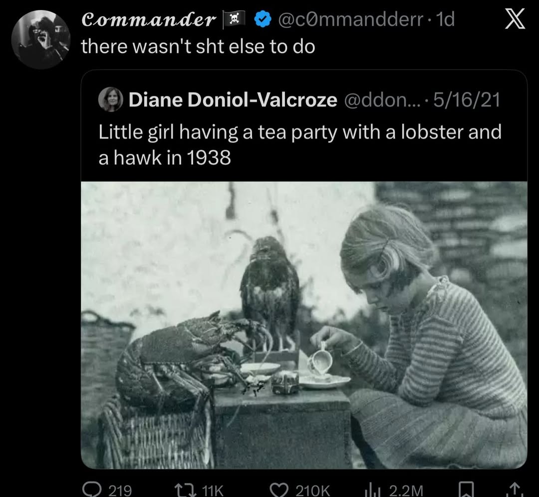 Commander there wasn't sht else to Diane Doniol-Valcroze Little girl having a tea party with a lobster and ahawk in 1938