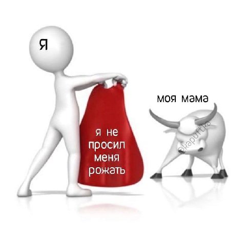 Я моя мама я не просил меня рожать