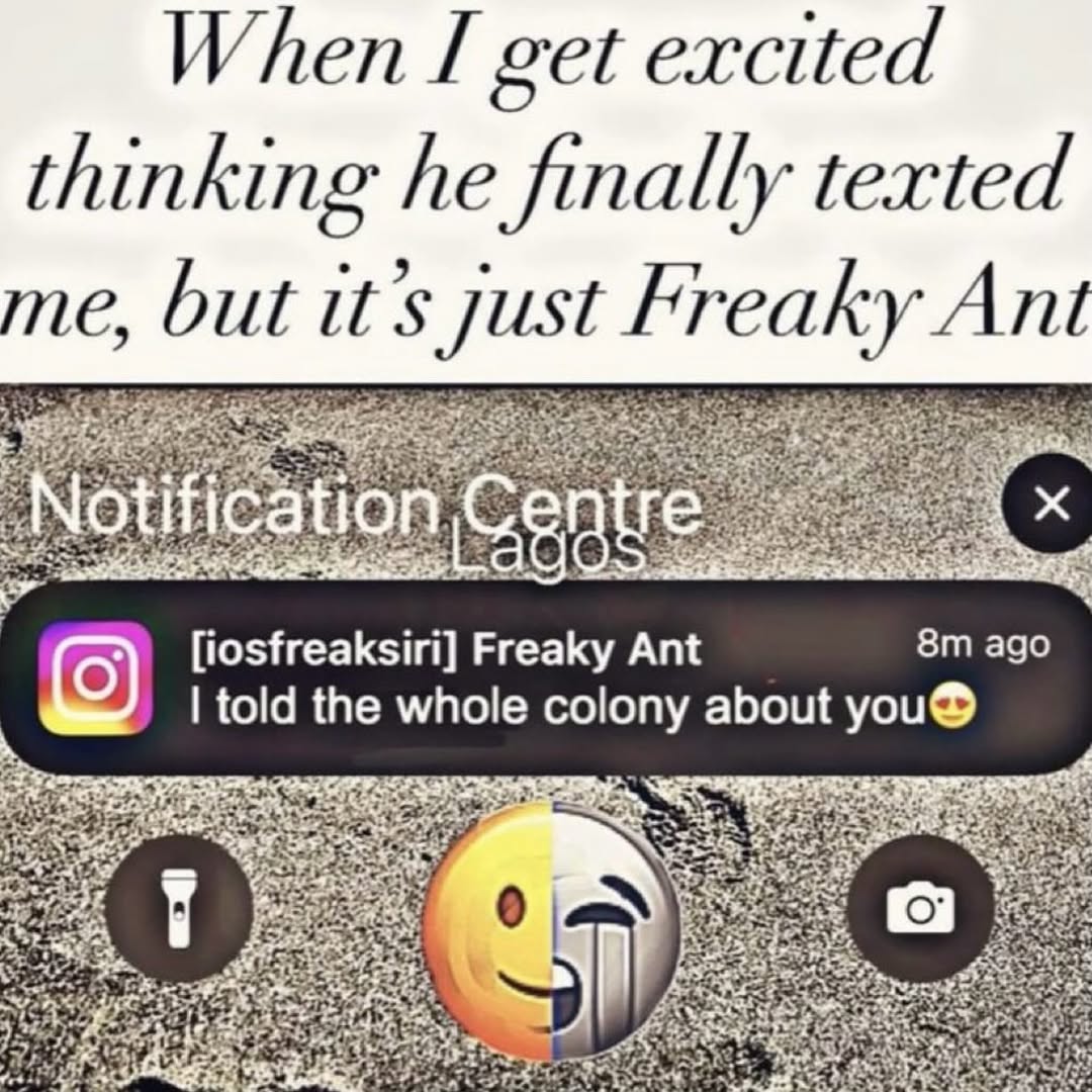 When I get excited thinking he finally texted me, but it’s Just Freaky Ant ago [iosfreaksiri] Freaky Ant told the whole colony about you®