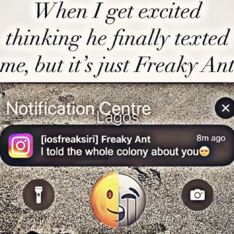 When I get excited thinking he finally texted me, but it’s Just Freaky Ant ago [iosfreaksiri] Freaky Ant told the whole colony about you®