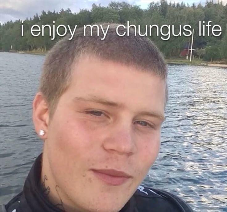 enjoy my chungus life ore