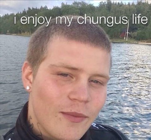 enjoy my chungus life ore