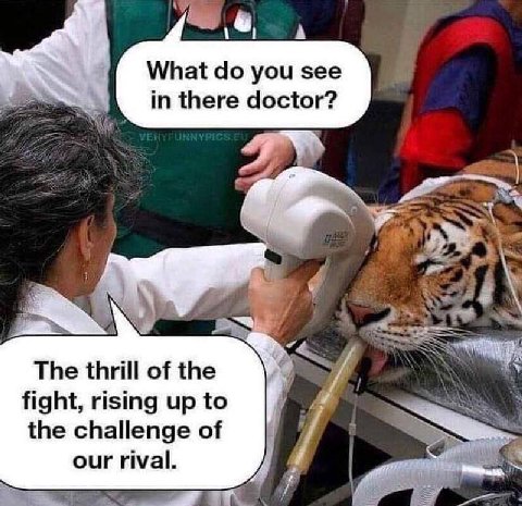 if What you see in there doctor? The thrill of the fight, rising up to the challenge of our rival.