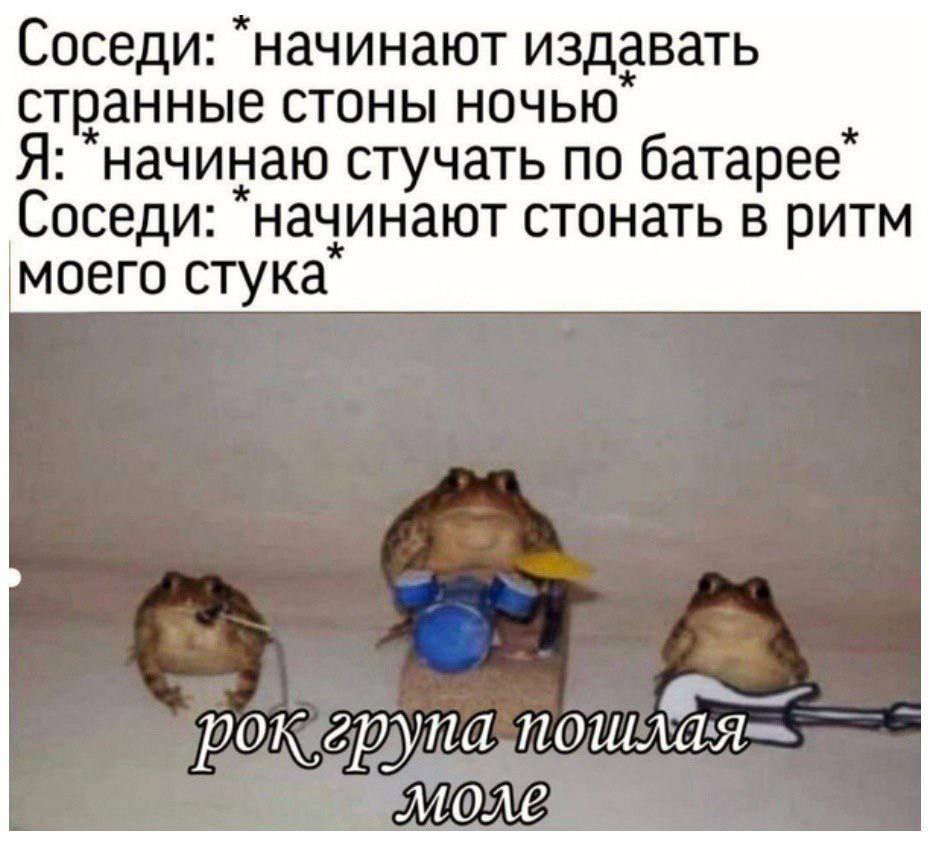 Соседи: "начинают издавать странные стоны ночью Я: начинаю стучать по батарее Соседи: "начинают стонать в ритм моего стука MONE