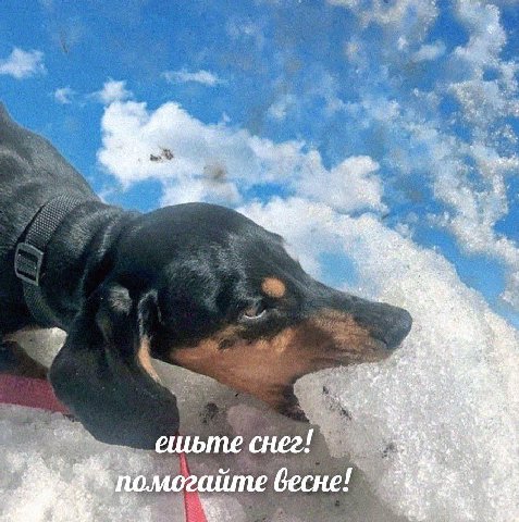 2 5 4 5 помогайте весне!