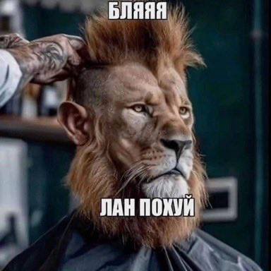 БЛЯЯЯ 13 ПАН ПОХУЙ