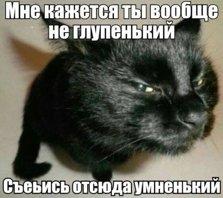 Мне кажется ты вообще не глупенький Съеьись отсюда умненький