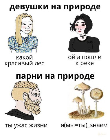 девушки на природе какой апошли красивый лес к реке парни на природе [2 ты ужас жизни я(мы=ты)_знаем